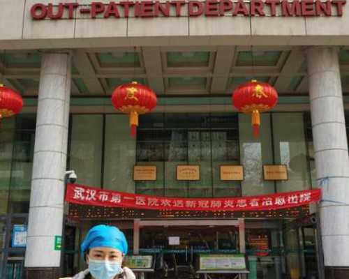 <b>宠物细小病症状况解析与助孕知识分享</b>