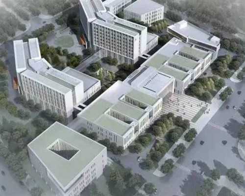 深圳高龄备孕养卵技巧与助孕选择指南