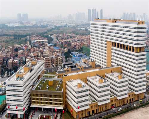 北京大学医院三代试管婴儿费用与成功率详解