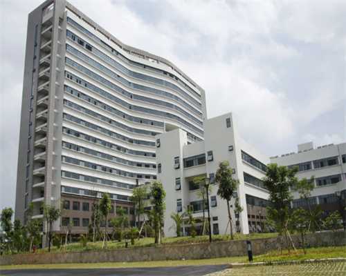 深圳北大医院三代试管婴儿费用及供卵助孕指南