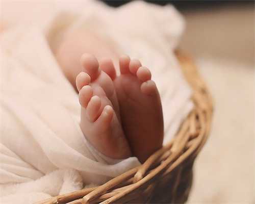 2026年试管婴儿费用指南与代怀选择解析