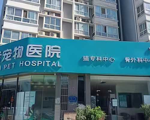 北大医院三代试管婴儿包生男孩费用解析与成功率指南