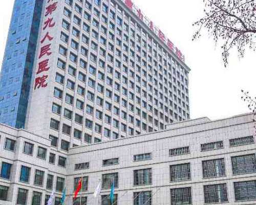 行为习惯对个人与团队成功的影响及优化策略总结