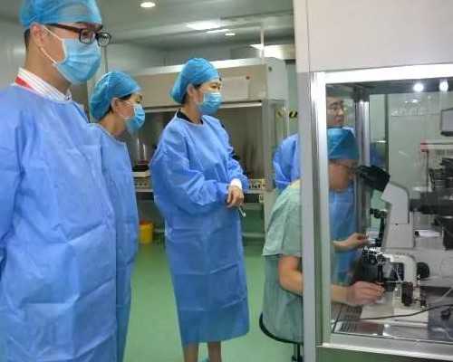 代生试管婴儿费用解析与助孕技术选择指南