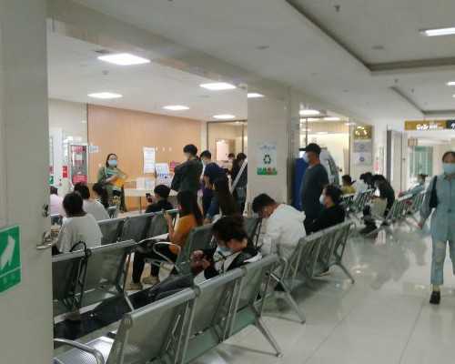 囊胚与鲜胚移植成功率对比及选择指南