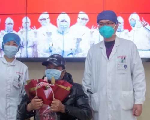 深圳助孕与代怀服务指南：囊胚移植与中介选择