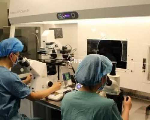助孕价格与代生男孩选择指南